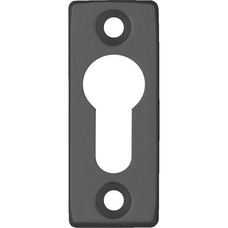 Plaque de cylindre DOM 4012 rectangulaire creuse noire 6,5 mm