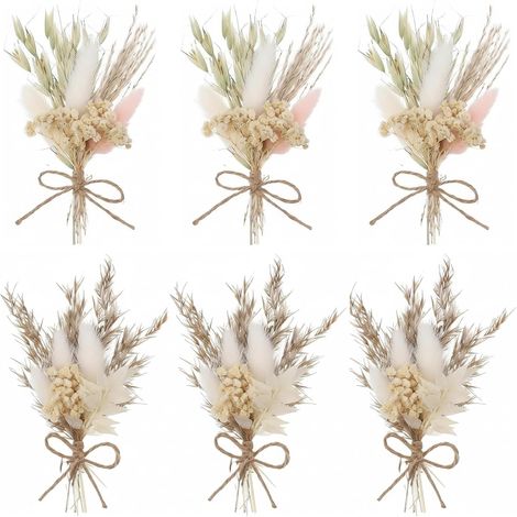 Lot de 6 mini bouquets de fleurs séchées (17 cm) - Petites fleurs séchées avec plumeau et herbe pour décoration, mariage, cadeau - Bouquet de fleurs séchées blanches pour la maison (1/5)
