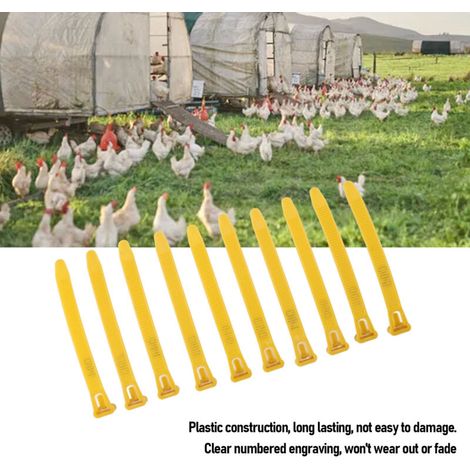 Bagues de jambe pour poulet [100 pièces] - Modèle ajustable avec marquage numérique résistant pour identification de volaille (canards, oies)