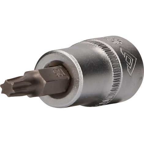 BRILLIANT TOOLS 3/8" douille Torx T25 - BT021942 (1/4)