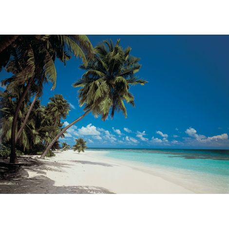 papier peint panoramique plage bleu et vert - Komar (1/3)