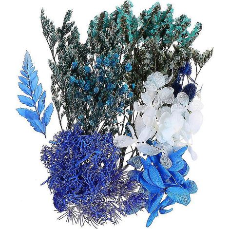 1 pièce de vraies fleurs séchées
