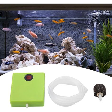 Pompe à air pour aquarium, fonctionne avec piles, pompe à air sec avec pierre à air et tube, parfaite pour les écumeurs de protéines et les réacteurs à oxygène, idéale pour les aquariums de 80 (1/5)