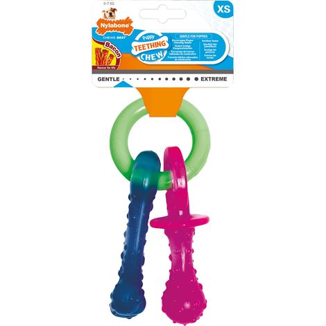 Puppy tetine pacifier Nylabone