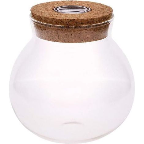 1 Bocal à poissons en verre borosilicate, lumière LED colorée, bouchon en liège, décoration aquarium pour maison et bureau (1/5)
