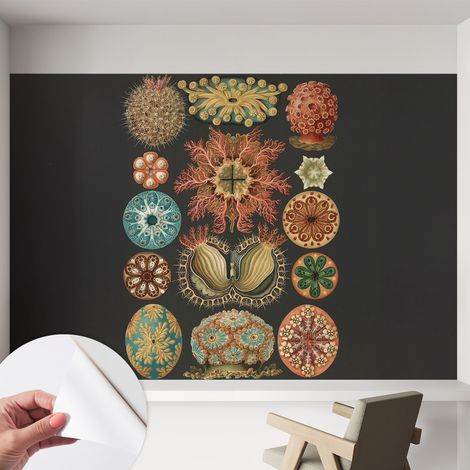 Carta da parati autoadesiva - impermeabile - murale da parete - decorazione murale - Ispirazioni marine 152x104 cm (1/5)
