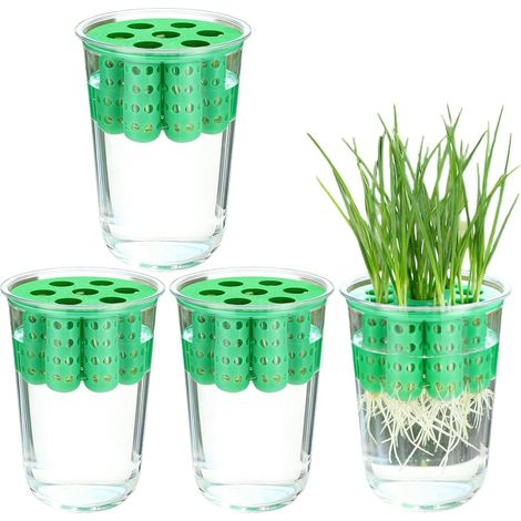 Zwiebel Pflanzgefäß für den Innenbereich transparent
