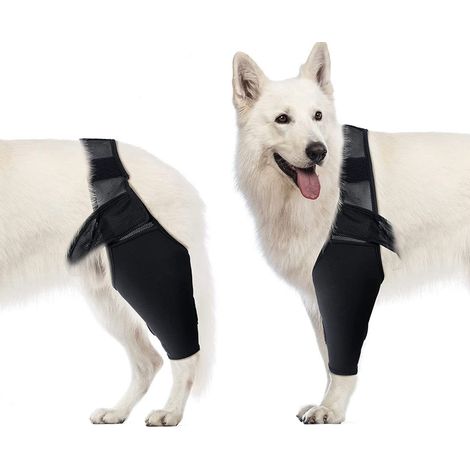 Genouillère orthopédique noire taille M pour chien, soutien du genou en cas de rupture LCA, prévention arthrose luxation (1/5)