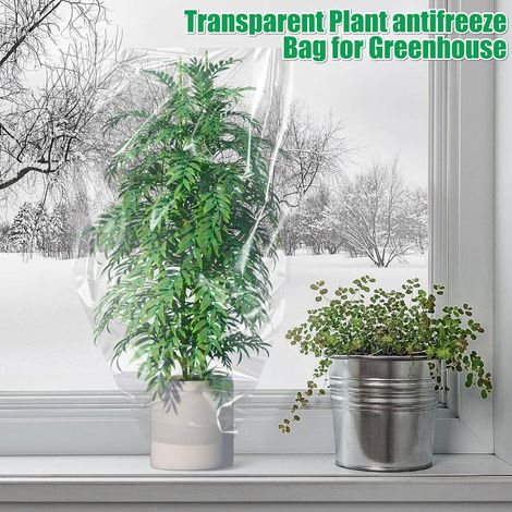 Housse de protection hivernale transparente PE épaisse 0.1mm 80x110cm, couverture isolante imperméable pour légumes et petits arbustes