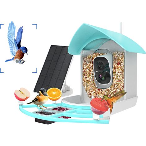 Intelligentes Vogelfutterhaus – 1080p-HD-Kamera, PIR-Sensor, KI-gestützte Vogelerkennung – Solarbetrieben – Vico Home App – Wasserdicht (1/5)