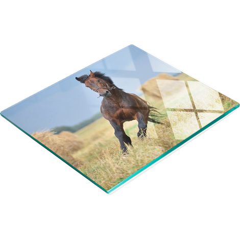 Tablero decorativo multifuncional de cristal para cocina con diseño de caballo al galope, 60x52 cm. (1/5)