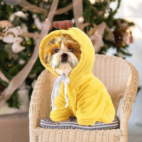 Tenues pour chiens de grande taille, vêtements pour chiens, costume jaune pour chien et chat, pull à capuche pour chien grande taille, chiot, Halloween (jaune, XL) (1/5)