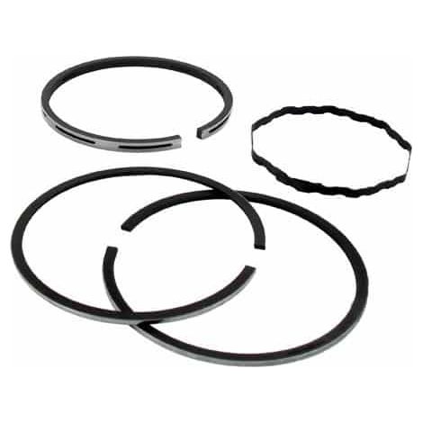 Segments BRIGGS et STRATTON 390486