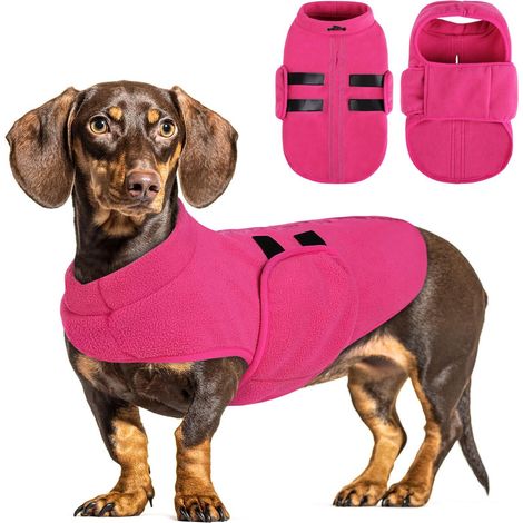 Veste Polaire pour Chien Pull Chaud Réglable avec Trou pour Laisse Manteau d'hiver Doux pour Animaux de Compagnie Chats Chiens de Petite Moyenne et Grande Taille (1/5)