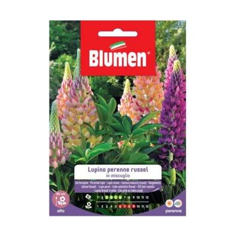 Blumen Semi di Lupino perenne Russel
