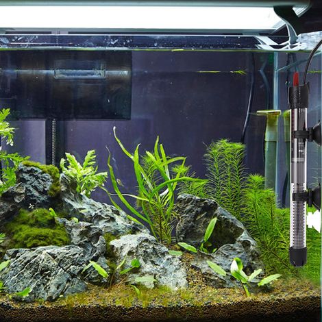 Riscaldatore d'acqua subacqueo da 25 W, mini riscaldatore per acquari con termostato e 2 ventose, riscaldatore d'acqua per acquari e vasche per pesci (30 l) (1/4)