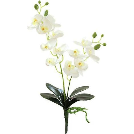 Fleur artificielle simulant une orchidée colorée en plastique, sans arrosage, pour la décoration intérieure.blanc (1/5)