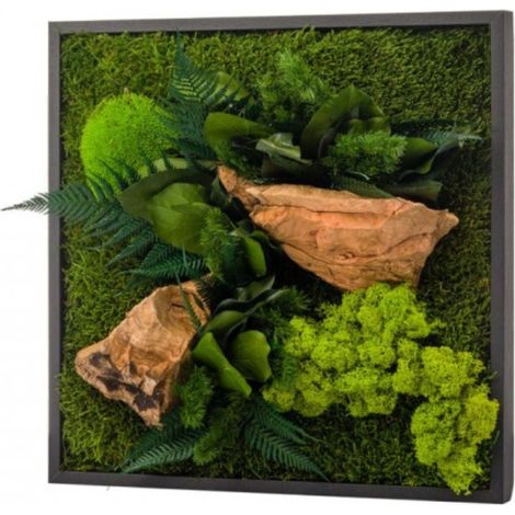 Tableau végétal mural stabilisé 35cm – Couleur noire – Décoration intérieure sans entretien – Plantes stabilisées avec glycérine – Naturalys (1/4)