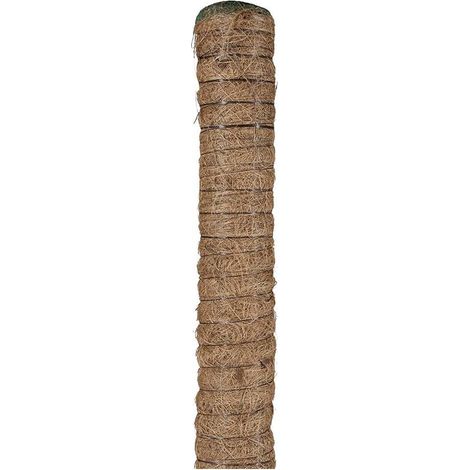 TUTORE MUSCHIATO � 5 cm. - h. 100 cm