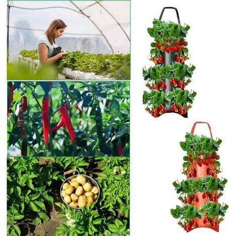 Sac De Plantation - 70x25 Cm - 6 Trous De Drainage - Poignée Intégrée - Pour Fraisiers Et Plantes En Pot - 2 Pièces (1/5)