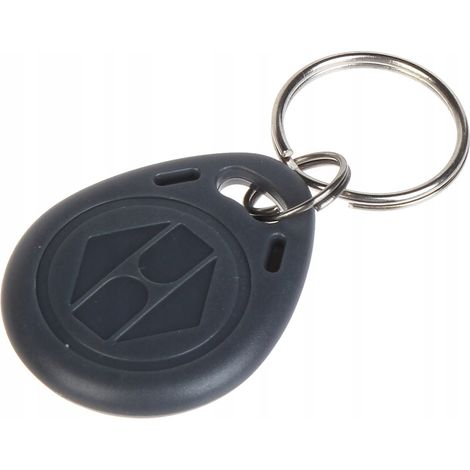 Llavero RFID atlo atlo-514s/g100 chip TK-4100 125kHz (1/3)