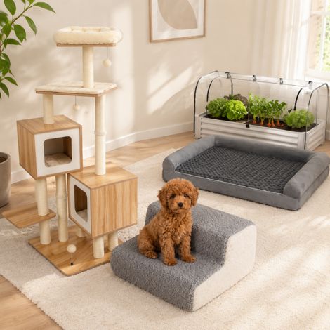 Ensemble « Pet Comfort » pour grand arbre à chat (3 pièces) – Tour en sisal, rampe en mousse et panier orthopédique XL pour chien (1/5)