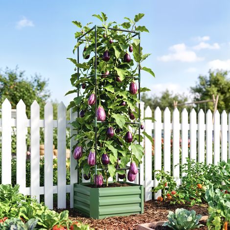 Jardinière avec treillis ajustable, bac à fleurs avec cage à tomates acier galvanisé (1/5)