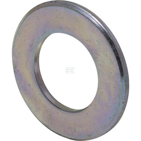 Rondella 395573X1 LANDINI 395573X1 (1/2)