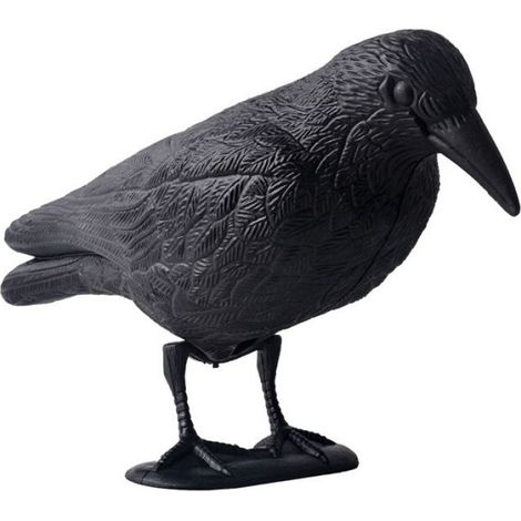 Décoy Corbeau - Répulsif Oiseaux En Plastique Résistant Aux Intempéries - Pour Balcons Jardins Terrasses - 38 x 12,5 x 23 cm - 1 Pièce (1/3)