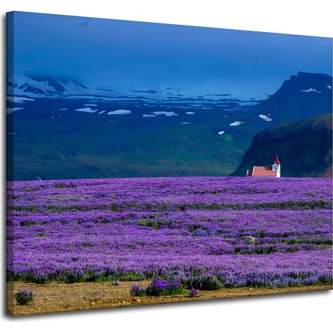 Stampa su tela Natura Campo di lavanda 100x80 cm Fiori viola Tramonto