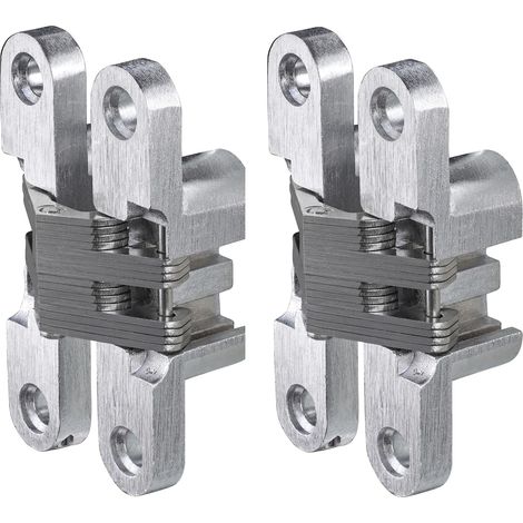 Set di due cerniere per porte esterne in acciaio inox - cerniere in metallo per legno, cerniere forate nichelate spazzolate 12 x 59 mm (1/4)