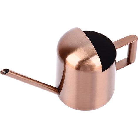 300ML Watering Can with Stainless Steel Spout, Semi-Open Design, Versatile Flower Watering Can for Indoor and Outdoor Use (1/5)