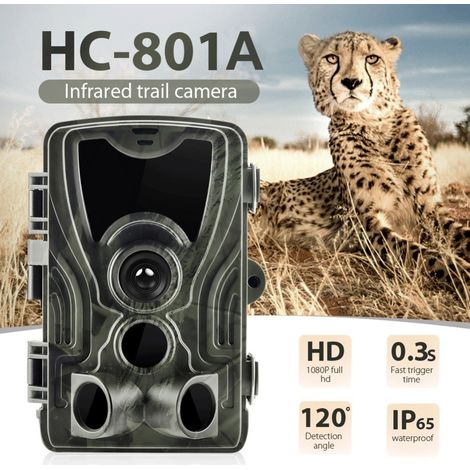 Caméra extérieure HC801A, enregistreur vidéo avec capteur infrarouge 20 MP, caméscope étanche 1080p