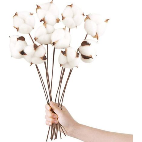 Fausses fleurs en coton séchées blanches, 10 pièces, pour décoration de maison, ferme, fête de mariage (1/5)