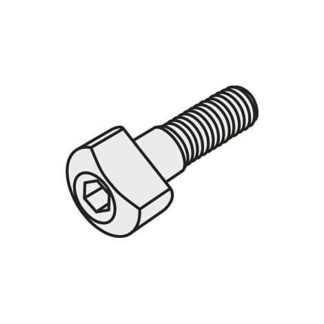 Torx-Innensechskantschraube ISO SR 85011-T15P Bruttogewicht 1,5g PRAMET (1/2)