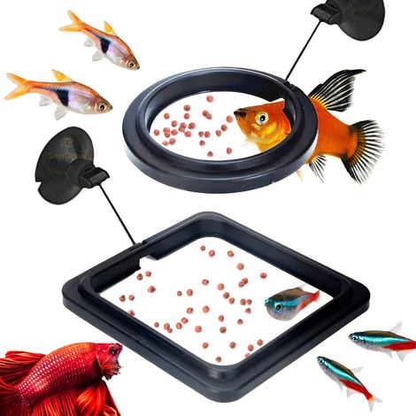 Anneau de Nourriture pour Poissons, 2 pièces Distributeur de Nourriture pour Poissons Aquarium réservoir Accessoires Tortue Distributeur de Nourriture Cercle pour Guppy, bettas (Noir) (1/5)