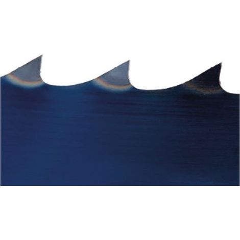 Saw Tape 1575x10x0.5 mm 4 ZPZ Holzstar (1/3)