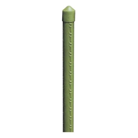 Entretoise de support en canne de bambou plastifie'e pour jardin   18-20 mm 1,80 m plantes et le'gumes