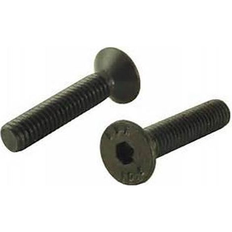Select 3598647089993 Tornillo de cabeza avellanada hexagonal de acero