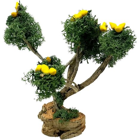 Albero di Limoni Miniatura per Presepe H 18 cm (1/5)