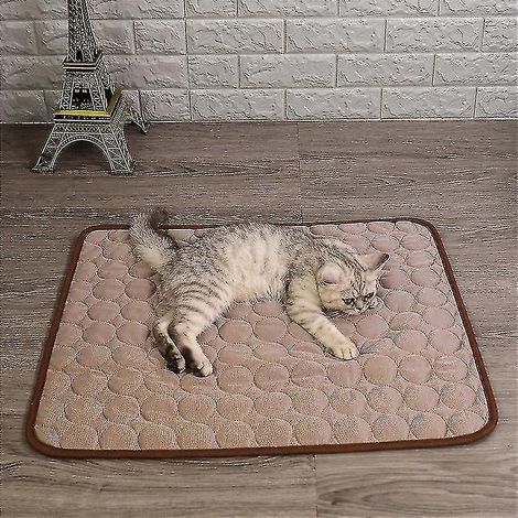 Tapis rafraîchissant en soie glacée pour chiens et chats, couverture rafraîchissante pour niche, canapé, lit, sol, sièges de voiture. (1/5)