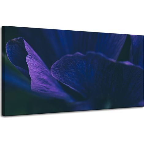 Lienzo impreso Botánica Pétalos morados 120x60