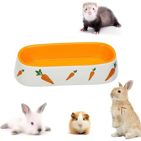 Gamelle en céramique pour lapin, petits animaux, hamster, chinchilla, hérisson, chiot, chaton, gerbille, furet (1/5)