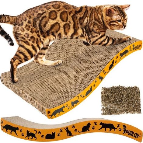 Northix Tavola Trifoglio Multicolore per Gatti 22,5x43 cm (1/5)