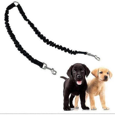 Laisse double pour chiens et autres animaux de compagnie, en matériau élastique réfléchissant - Absorption des chocs à 360° - Cadeau anti-nœuds (1/5)