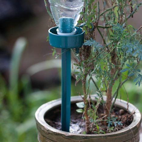 Irrigazione automatica delle piante in vaso – con bottiglie in PET (1/5)