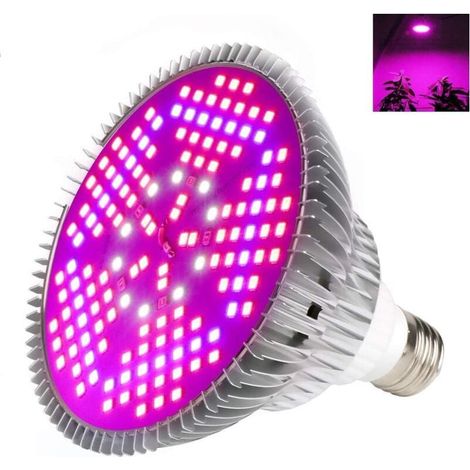 Lampe de croissance E27 24W Éclairage plantes 200LED, plein spectre Jardiniers, serres, intérieur (1/4)