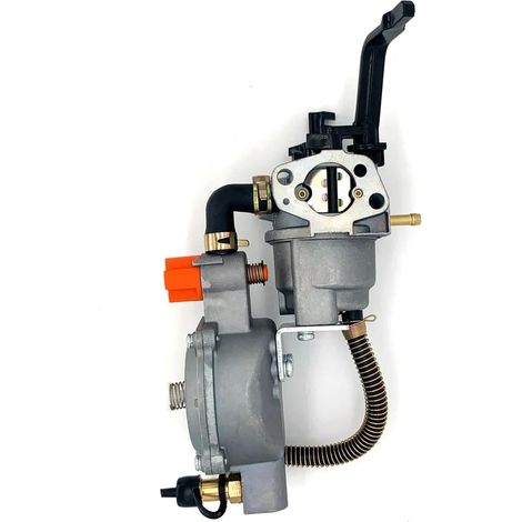 Lntyq Motorradvergaser, Dual-Fuel-Vergaser 168F für Honda GX160 LPG NG 3–5 kW Benzingenerator, GX200 170F Umbausätze (1/5)