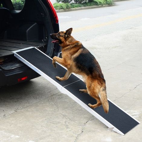 Rampe De marche Pour Chiens, Vélo, Machines Outil Sur Roulettes 183 cm (1/5)