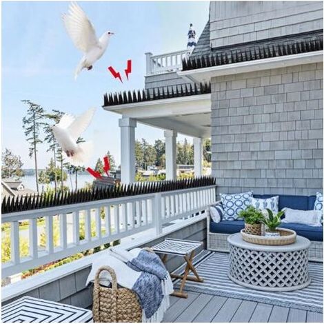 Anti-Pigeons en Plastique,Pic Anti Pigeon,Anti Oiseaux Plastique,Pic Anti Chat pour FenêTre,Repulsif Oiseaux pour Effrayer Pigeons,Corbeaux,Moineaux,pour Balcon,ClôTure,Jardin(Noir) (1/4)